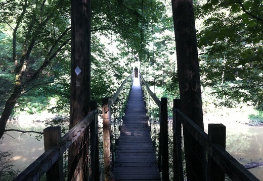 Sheltowee Trace along Chimney Top Creek